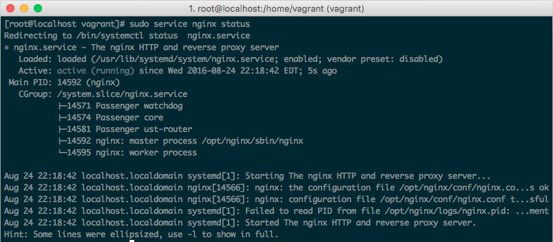 nginx-status